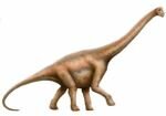 Брахиозавр большой, 23см